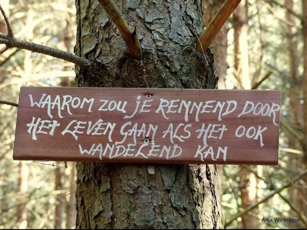 Wandelcoachingvlieland